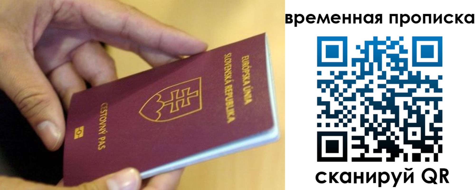 регистрация для школы в Тихорецке